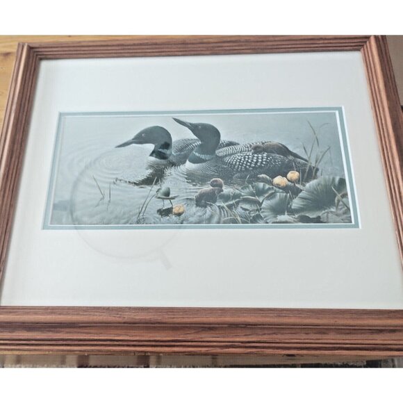 Framed & Matted Michael Dumas Art Print "Bright Water" Loons and Chicks 21 x 17 - Picture 12 of 13